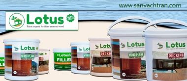 Sơn giả gỗ ngoài trời Lotus - Sơn giả gỗ cao cấp